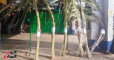 وزير التموين يوجه بتيسير استلام القصب من المزارعين لإنتاج السكر المحلى