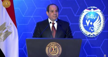 الرئيس السيسي: ثورة 25 يناير عبرت عن تطلع المصريين لبناء مستقبل جديد