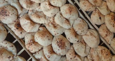 اليوم.. بدء تطبيق قرار سعر رغيف الخبز الحر والفينو