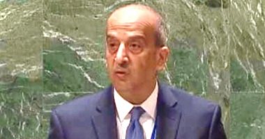 مندوب مصر بالأمم المتحدة: لا ينبغى غض الطرف عن بحث مسببات الأزمة الأوكرانية