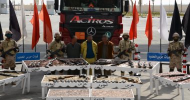 حملة مكبرة على الزراعات المخدرة بسيناء بالتعاون بين القوات المسلحة والداخلية