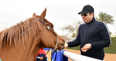 فى نواصيها الخير.. الرئيس السيسى يستمع لشرح عن الخيول العربية بأكاديمية الشرطة