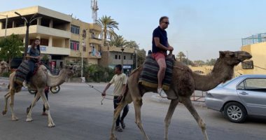 سياح يستمتعون برحلة "سفارى الجمال" فى البر الغربى بالأقصر.. صور
