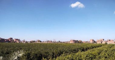 درجات الحرارة المتوقعة طوال أسبوع العيد بجميع الأنحاء.. العظمى بالقاهرة تصل 35