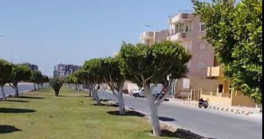 الأرصاد: طقس مائل للحرارة على الوجه البحرى.. والعظمى بالقاهرة 29 درجة