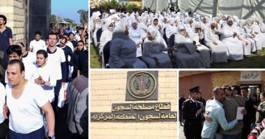 إطلاق استمارة طلب العفو على موقع المؤتمر الوطنى للشباب