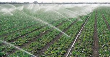 مهلة 6 أشهر لملاك الأراضي بالقليوبية لتنفيذ نظم الرى الحديث