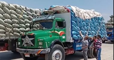 التموين: استمرار استلام القمح بالصوامع ومواقع التخزين حتى الساعة 12 مساءً