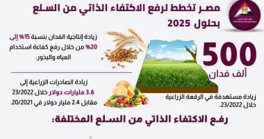 معلومات الوزراء: مصر تخطط لرفع الاكتفاء الذاتي من السلع بحلول 2025
