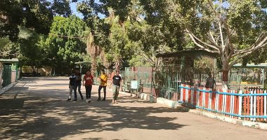 بـ5 جنيهات.. حديقة الحيوان تستقبل المصريين كل ثلاثاء طوال إجازة الصيف
