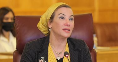 ياسمين فؤاد: تقديم حوافز لدعم توطين صناعة السيارات الكهربائية صديقة البيئة