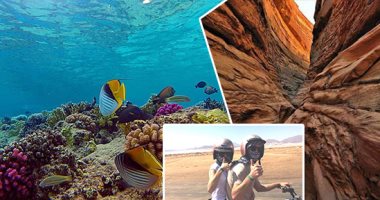 سياحة جنوب سيناء: اشغالات الفنادق تصل 100% خلال العيد وسط إجراءات احترازية