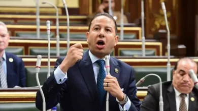 حسن عمار - عضو لجنة الشئون الاقتصادية بمجلس النواب