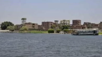 جزيرة الوراق