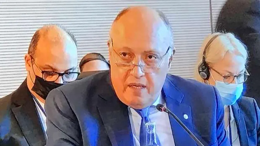 سامح شكري وزير الخارجية