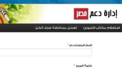 موقع دعم مصر - صورة أرشيفية