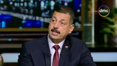 الدكتور أيمن حمزة المتحدث باسم وزارة الكهرباء