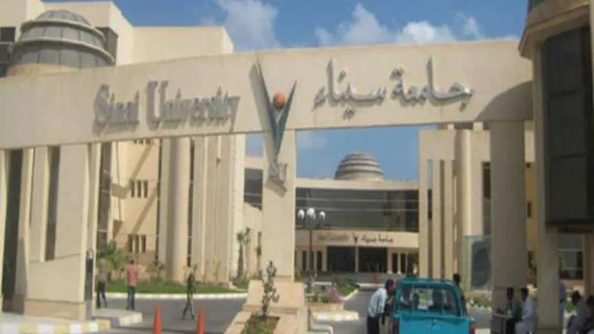 جامعة سيناء