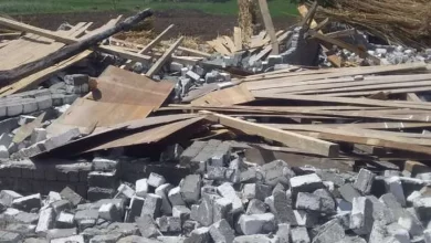 جانب من إزالة حالات التعدي على الأراضي الزراعية