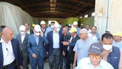 وزير الزراعة يوجه بتوزيع تقاوى القمح مبكرا واستخدام الميكنة الحديثة