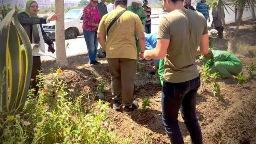 مشاركة الطلاب في زراعة الأشجار