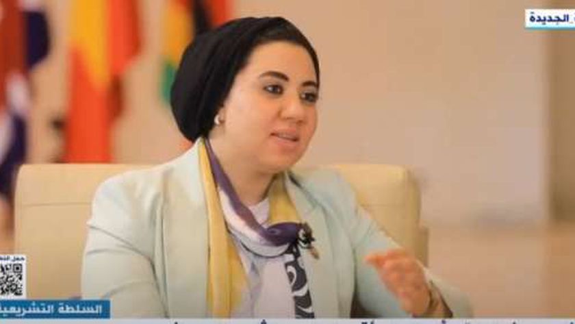 النائبة أميرة صابر