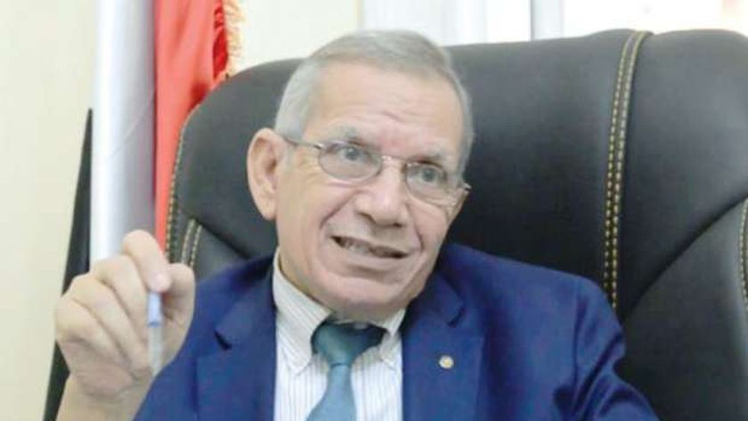 الدكتور محمد مجاهد نائب وزير التعليم لشؤون التعليم الفني