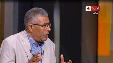 النائب عماد الدين حسين