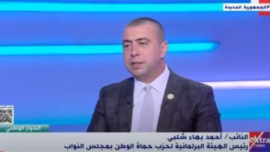 النائب أحمد يهاء شلبى