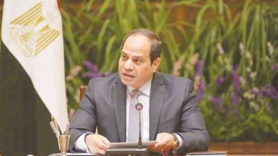الرئيس عبدالفتاح السيسي