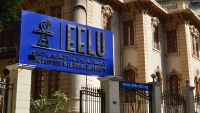 الجامعة المصرية للتعلم الإلكتروني الأهلية
