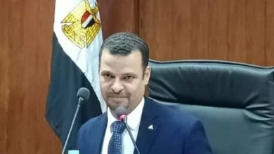 عميدكلية فنون جميلة جامعة الأقصر