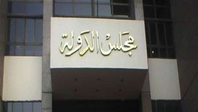 مجلس الدولة _ أرشيفية