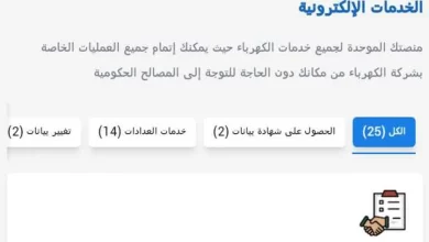 المنصة الموحدة لخدمات الكهرباء