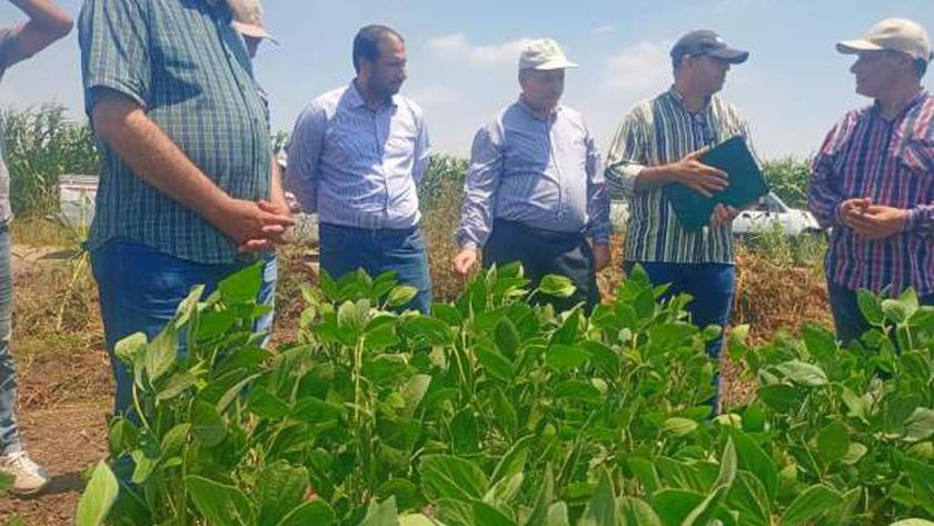 جانب من أنشطة وزارة الزراعة - أرشيفية