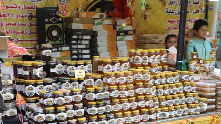 إنتاج التمور في مصر