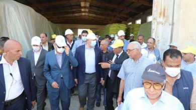 «القصير»: توفير تقاوي المحاصيل قبل زراعتها بوقت كاف وبأسعار مناسبة