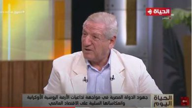 الدكتور فخري الفقي رئيس لجنة الخطة والموازنة بمجلس النواب