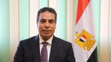 الدكتور عادل عبد الغفار