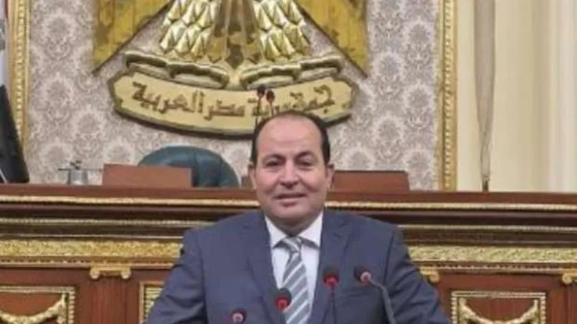 المهندس عبد الباسط الشرقاوي، عضو لجنة الإسكان بمجلس النواب