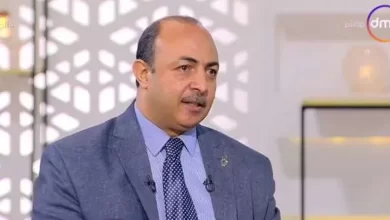 الدكتور محمد عامر المدير التنفيذي لصندوق رعاية المبتكرين والنوابغ