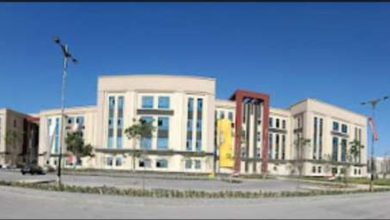 جامعة المنصورة