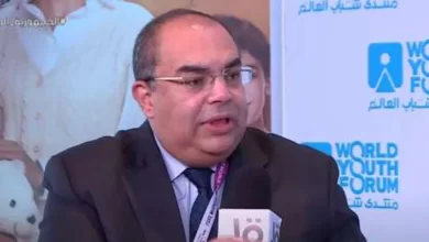 الدكتور محمود محي الدين