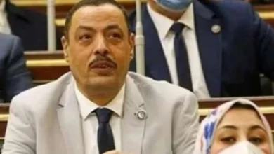 النائب أشرف أمين