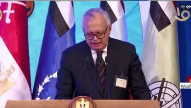 السفير محمد العرابي