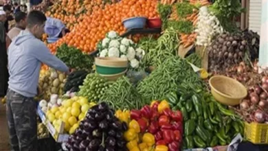 محاصيل زراعية - أرشيفية