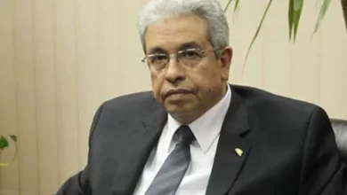 الدكتور عبدالمنعم سعيد