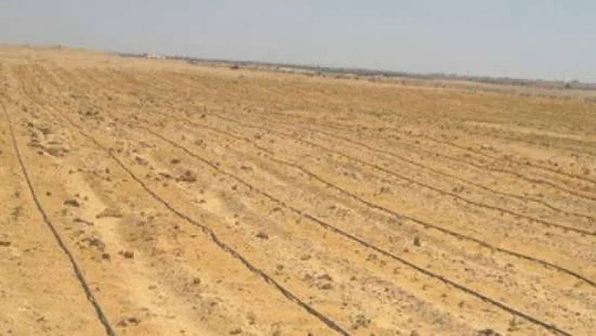 استصلاح الدولة للأراضي