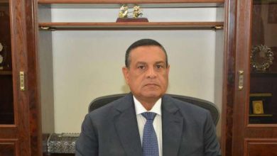 وزير التنمية المحلية