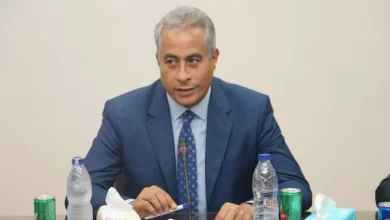 وزير القوى العاملة حسن شحاتة